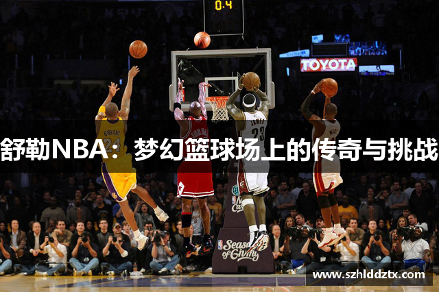 舒勒NBA：梦幻篮球场上的传奇与挑战